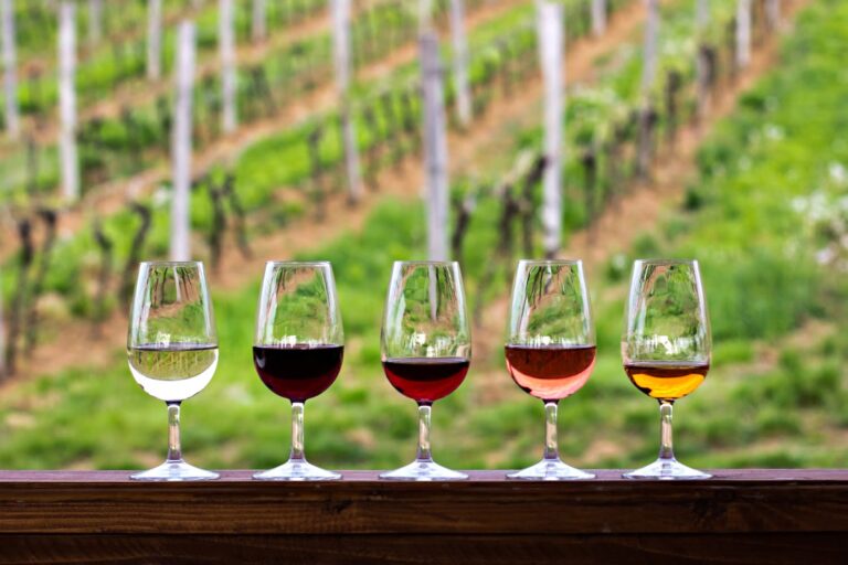 Read more about the article Sip and Savor: Wine Tasting Near Carriage House